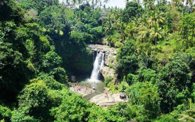 Viaggio nella natura di Bali: un’esplosione di colori!