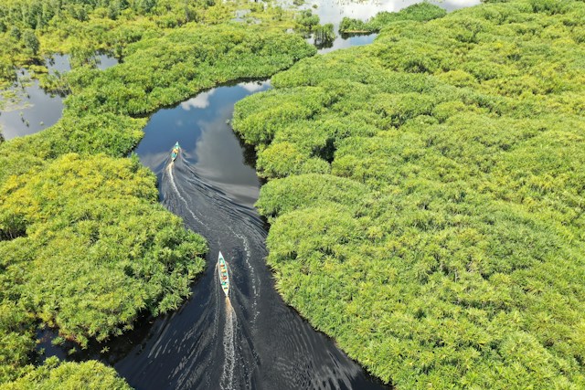 kalimantan lombok cosa vedere