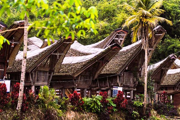 Sulawesi: le tradizioni di Tana Toraja e il mare delle isole Togean